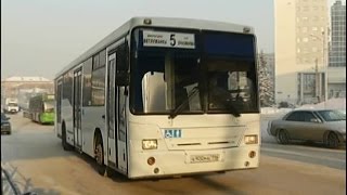 Водители автобусов в Красноярске пройдут осмотр психиатра