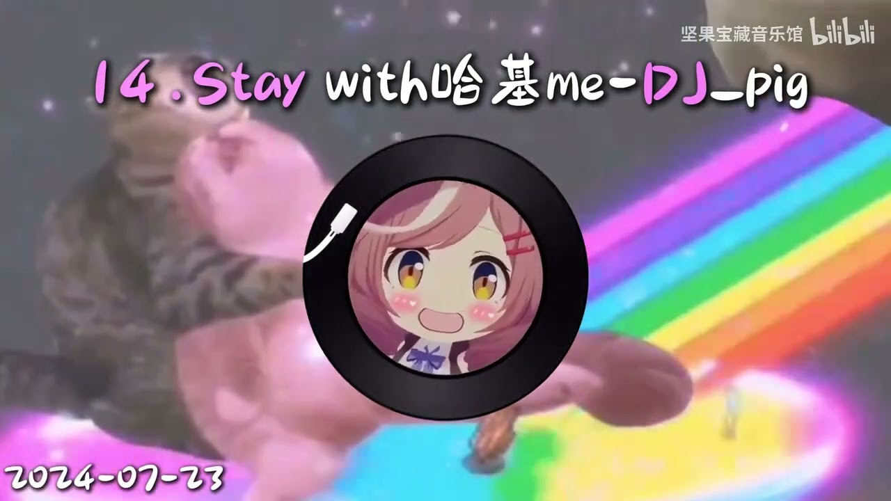 【哈基米4小时编年史】盘点火遍全网の神人哈基米音乐原视频13站 坚果宝藏音乐馆