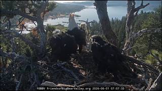 6-1-2026 Watching Them Grow screenshot 5