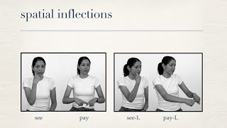 How Language Evolves:Ann Senghas:Rethinking Recapitulation:Structure in Nicaraguan Sign Language