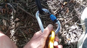 Cordalette and Sling Tree Anchor Practice
