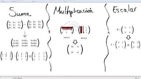 Operaciones básicas con Matrices