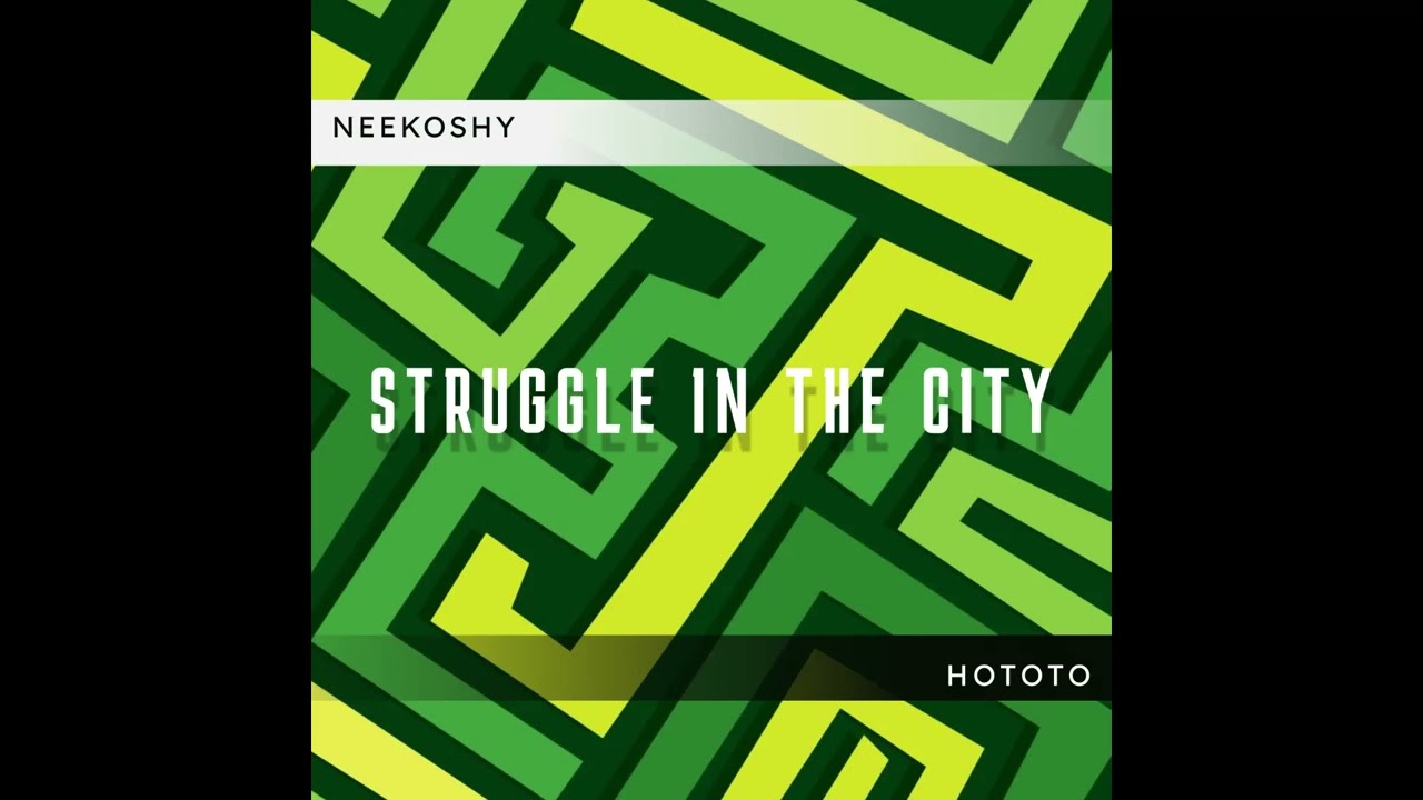 Neekoshy ft Hototo - Struggle in the city (prod by Hototo)
