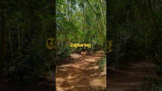 Not a cinematic edit. Just how MCC actually looks 🌿📷 |Madras Christian College|Campus