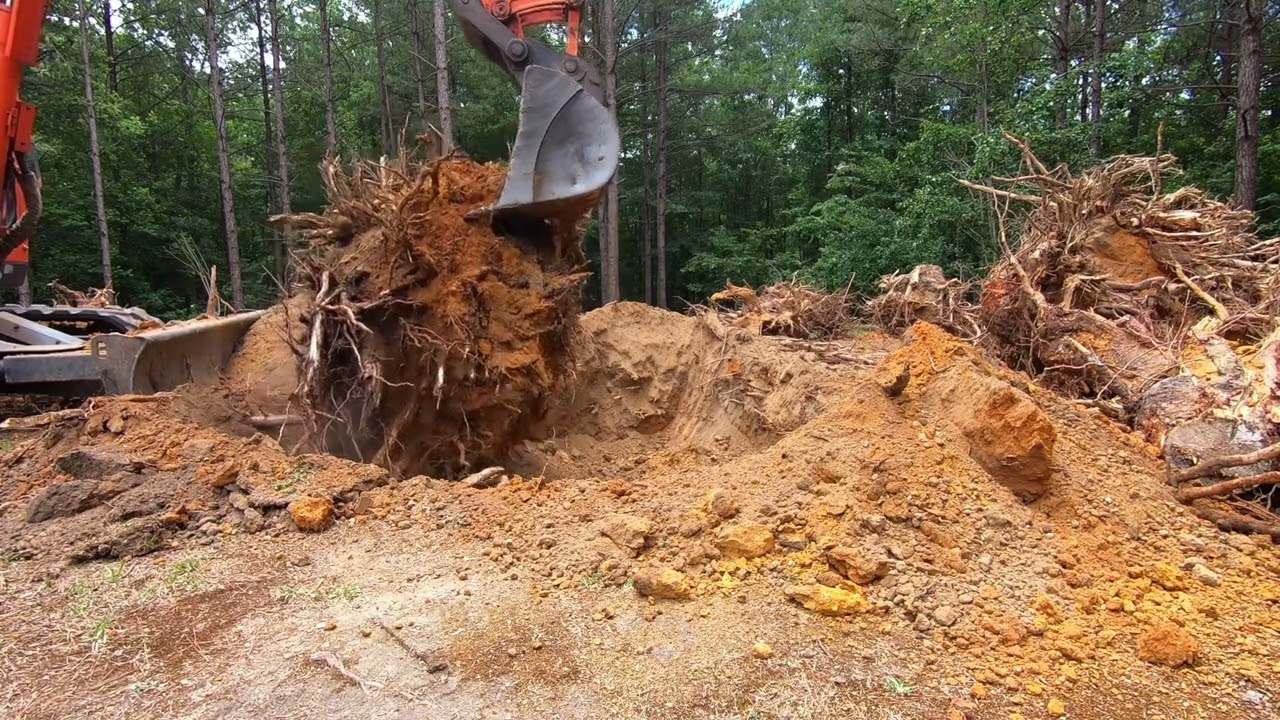 Kubota KX080-3 | Digging Stumps And Grading The Back Yard