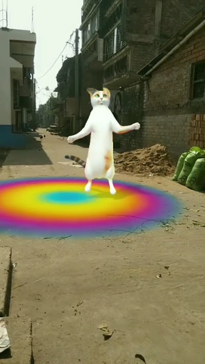 Apply perfume on chunni 😺😻😺😲😱😲 #dj #yashomatimaiyasebolenandlala #song #djremix