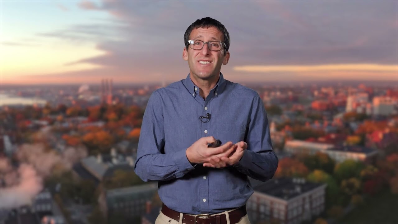 What does the future hold_Stephen Porder