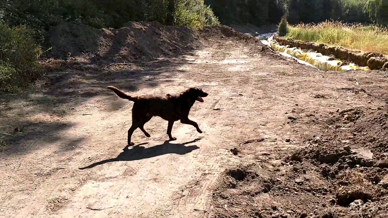 "How Country Feels" Hunters Farm Lake Project.