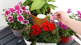 Just one spoonful and all your plants will grow like crazy!