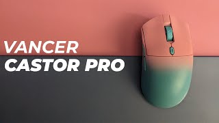 Budget Finalmouse? - Vancer Gemini Castor Pro Mouse Review