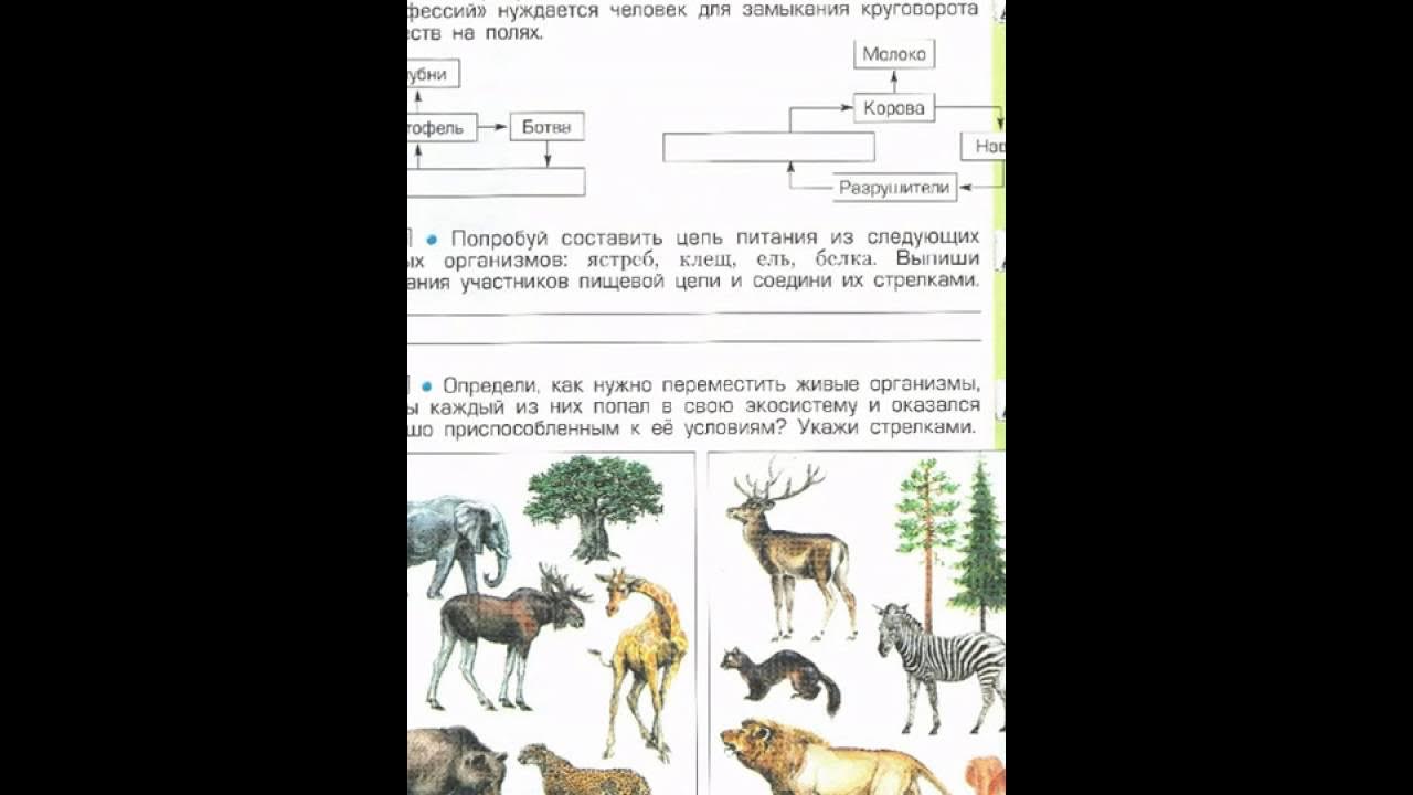 окружающий мир 3 вахрушев рабочая. окружающий мир 3 класс. окружающий мир 3 класс рабочая тетрадь вахрушев. косовцева окружающий мир 3 класс рабочая тетрадь. рабочая тетрадь окружающий мир 3 класс вахрушев бурский.
