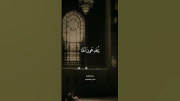 #تلاوة_هادئة #تجويد_القرآن #تلاوة_خاشعة #تلاوات الشيخ #محمد_صديق_المنشاوي #المنشاوي #قرآن #تلاوة مكه
