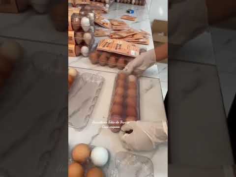 Vídeo do Sítio do Bunito