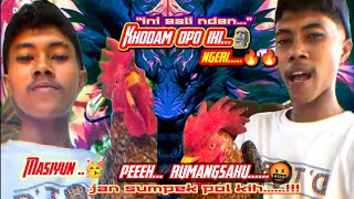 Masiyun - the golden dragon chicken's guardian spirit causes trouble
