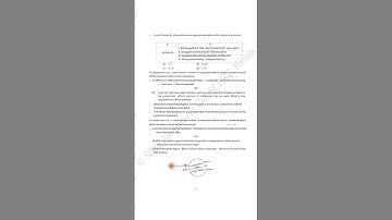 Class 8 social science onam exam paper scert 2025 answer key #modelpaper #exam #class8socialscience