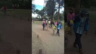 2° - 6 nov 2016 - #Gabadas - VID 20161106 WA0005