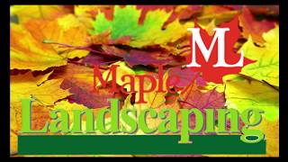 Maple landscaping in california -