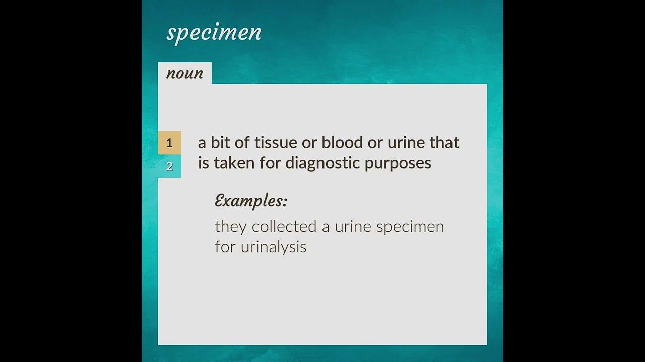 Specimens meaning of Specimens YouTube
