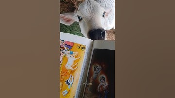 POV:You Accidentally Open My Gallery....!!!🦚✨🌸 #krishna #radhakrishna #trending #shorts #ritika9152