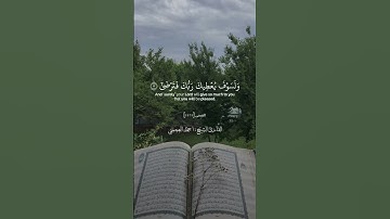 سورة الضحى بصوت اشهر القرائ | ياسر الدوسري | ناصر القطامي | ماهر المعيقلي | محمد صديق المنشاوي .....