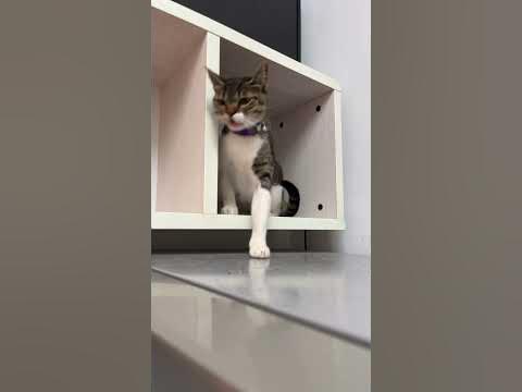 Клара без настроения - YouTube