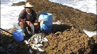 peche au maroc dakhla .boujemaa