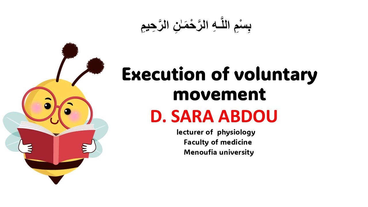Execution of voluntary movement D SARA Abdou