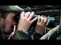 Fallow Deer hunting in Hungary, at Dalerd Zrt.