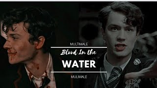 Multimale || Blood In The Water