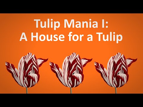 Video: Fitur Biologis Tulip