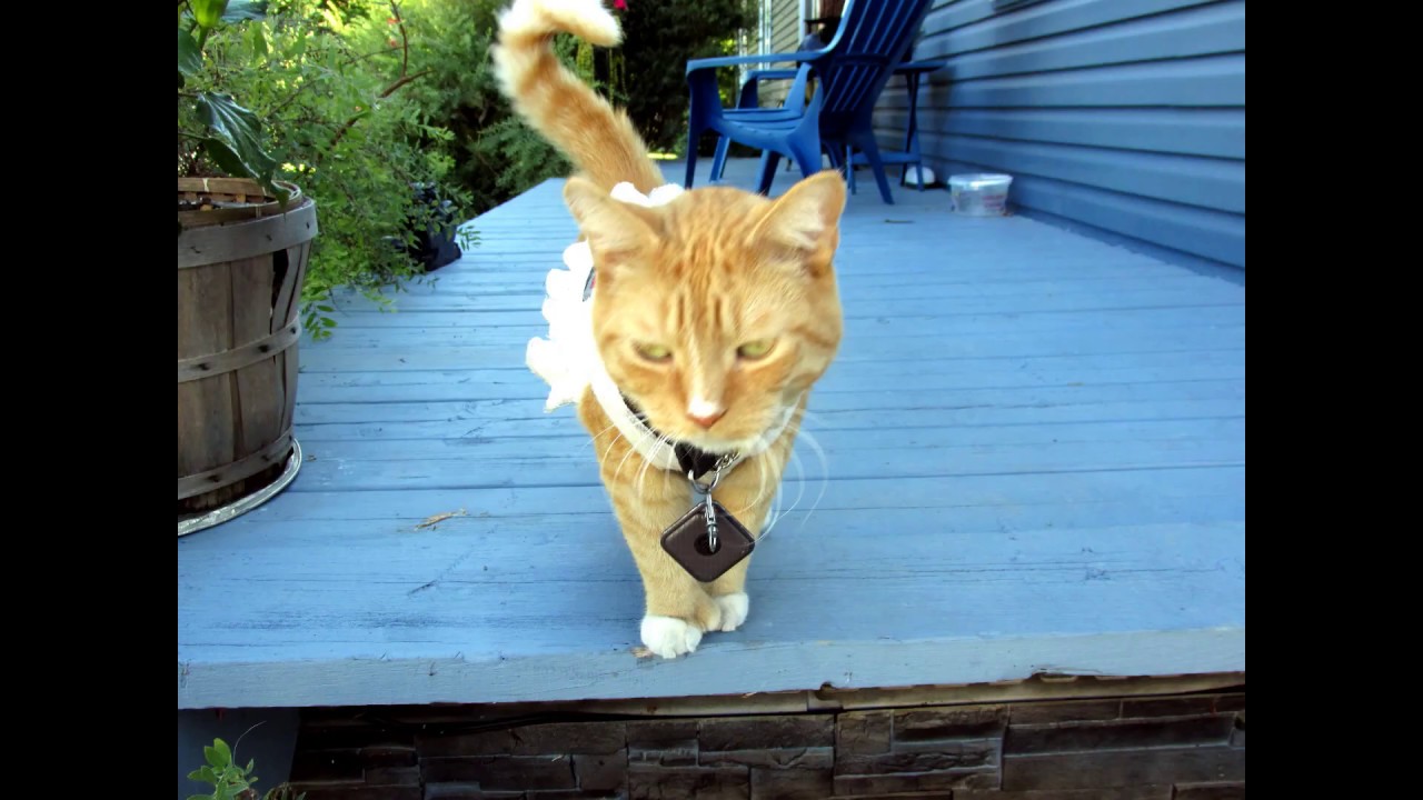 Weekend BBQ @ St Clet