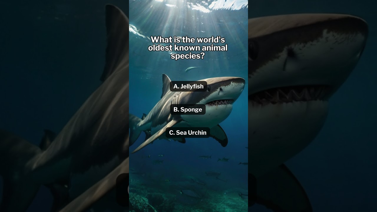 🎉 How many did you get? 🧠 Stay updated, subscribe now! 