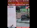 Elpehant | ஸ்ரீமதுரை ஊராட்சிக்கு உட்பட்ட கிராமங்களில் யானை நடமாட்டம் | N18S
