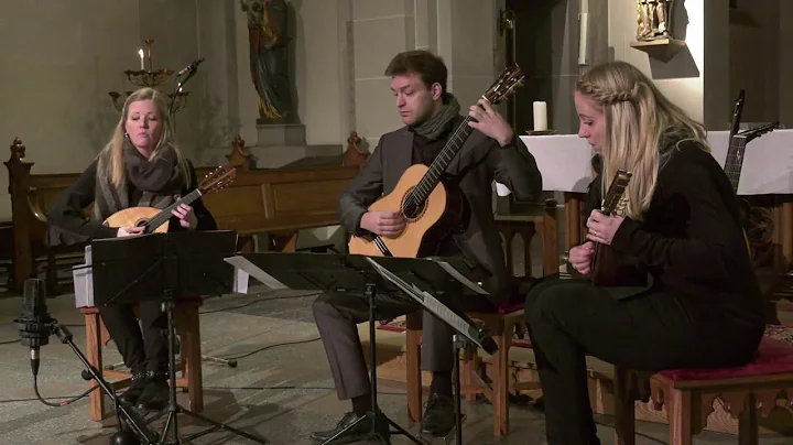Ensemble trioLogie live in concert