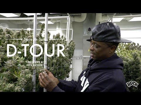 Video: Devin The Dude Worth: Wiki, Ndoa, Familia, Harusi, Mshahara, Ndugu