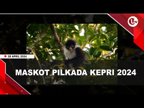 MENGENAL KEKAH NATUNA, MASKOT PILKADA KEPRI 2024 | U-NEWS