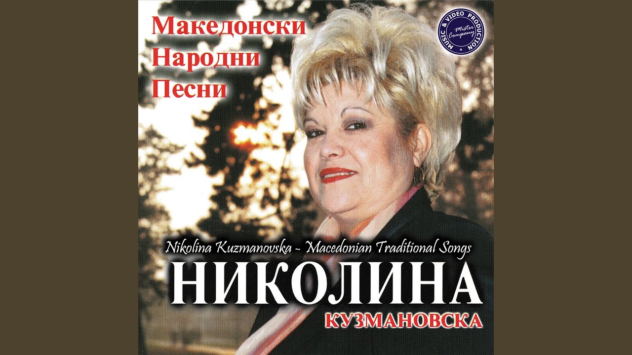 Ajde, Ajde Mili Sine Oženi Se