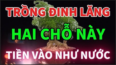 Nghèo Đến Mấy Cứ Trồng Cây ĐINH LĂNG Ở 2 Chỗ Này Sẽ HÚT TÀI LỘC VÀO NHÀ, Tiền Vàng Ùn Ùn Kéo Đến