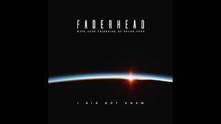 Famous Faderhead - I Did Not Know (feat. Sven Friedrich of Solar Fake) Net Worth