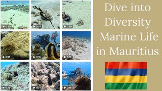 Marine Life of Mauritius!