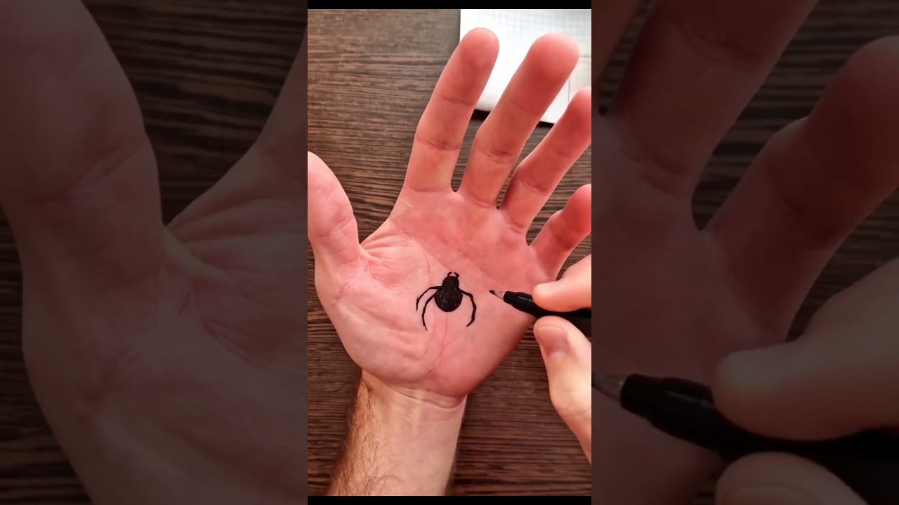 Spider Trick Art on Hand | Cool 3D Optical Illusion 😱 