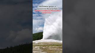 Download Lagu This is steaming hot water forced out from the vents beneath!#oldfaithfulgyser #yellowstone MP3