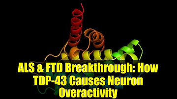 ALS & FTD Breakthrough: How TDP-43 Causes Neuron Overactivity