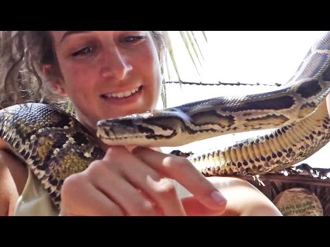HOLDING A GIANT PYTHON?! | Road Trip 2015
