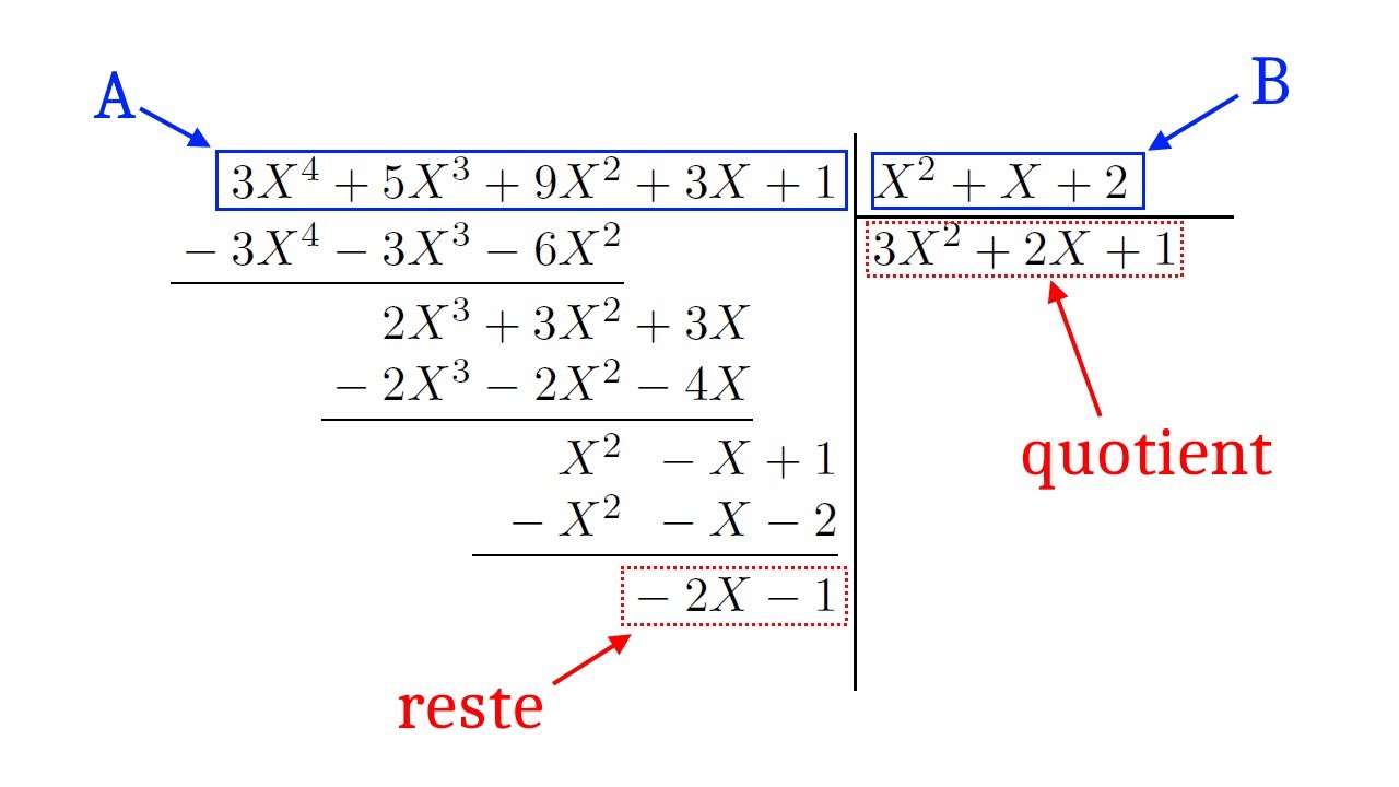 Polynômes 3 - Divisibilité et division euclidienne