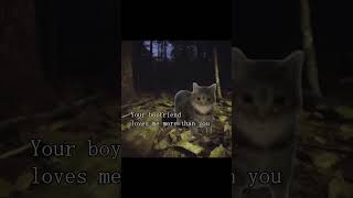 Scary Oiia Cat