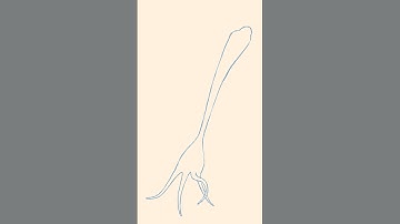 ESCAPE #вилкинс