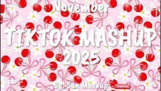 Tiktok Mashup November 💖2025💖 (Not Clean)