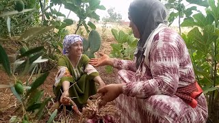 🥰🥰عيد مبارك كل عام وانتم بخير وصحة وعافية
