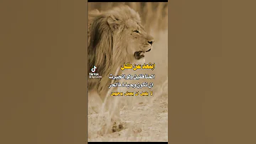ابتعد عن كل المنافقين حالات واتس اب متنوعه روووووووووعه 2023 